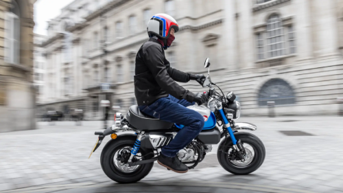 Ta Monkey à partir de CHF 4'530.-